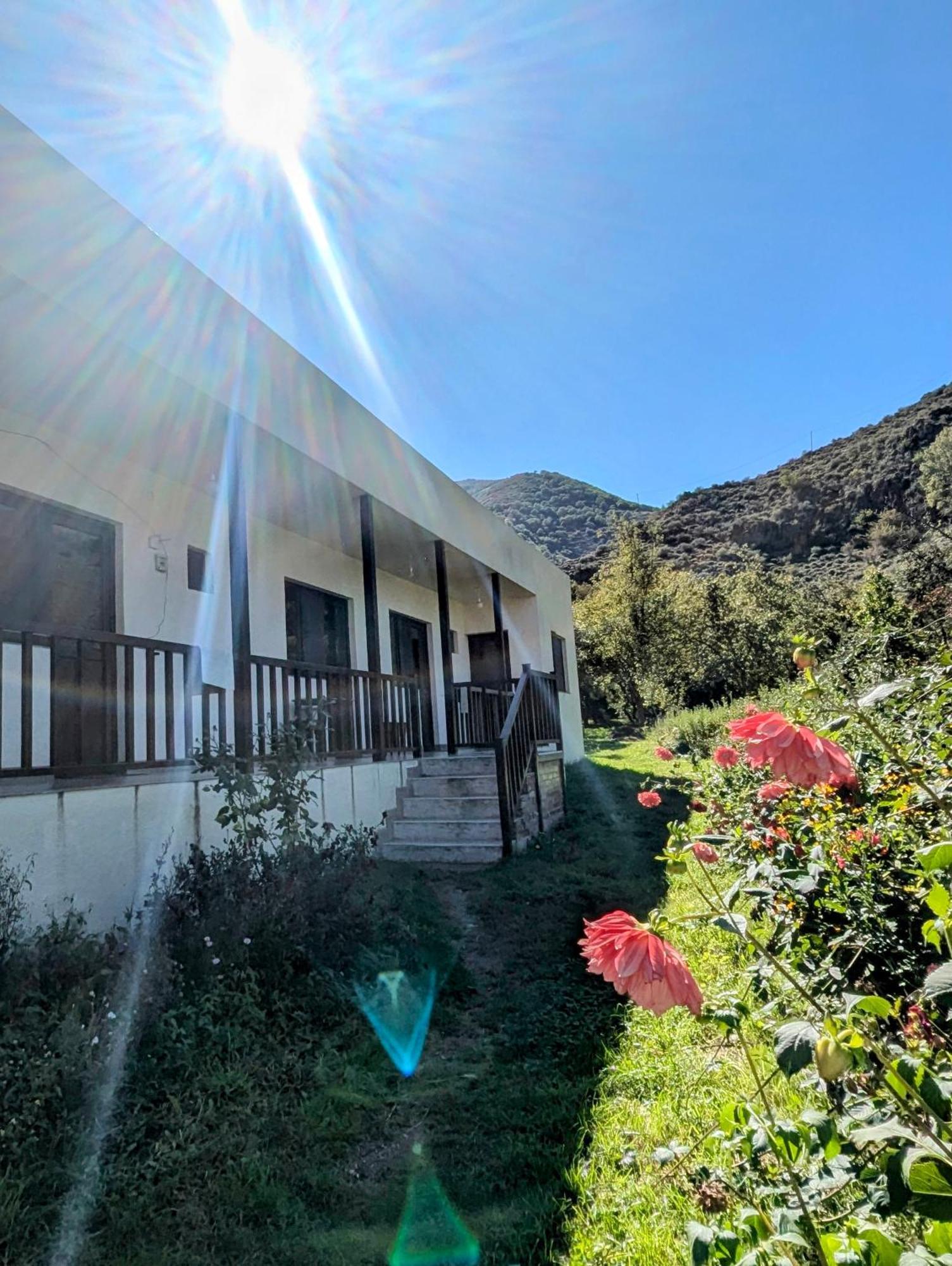 Bee House Hotel Pia Exterior photo